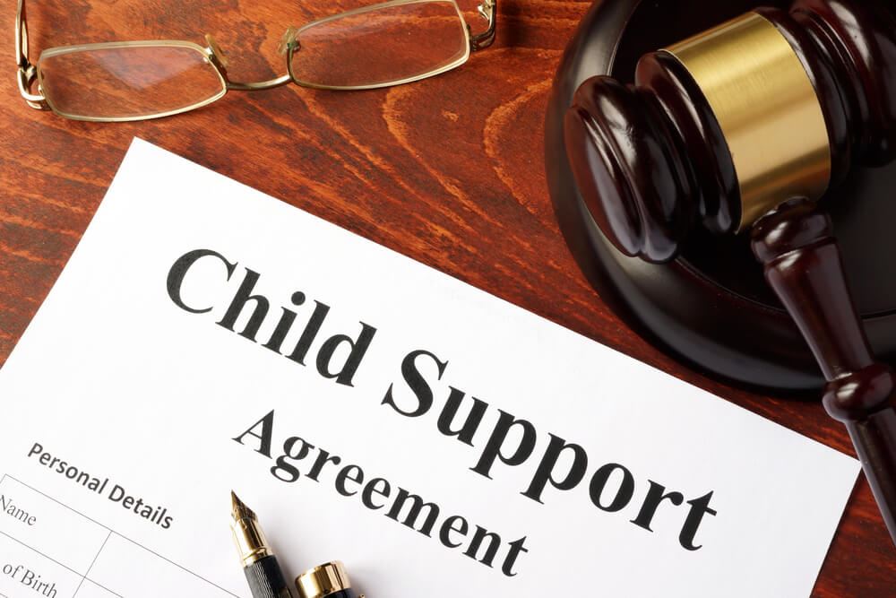 Child Support Defense Packet